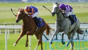 &lsquo;Little setback&rsquo; could delay return of Falling Snow