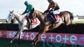 Intense Raffles &lsquo;fine&rsquo; but future plans put on hold for now