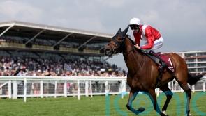 Upgraded City of York Stakes one of the main targets for Audience