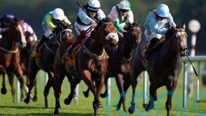 Regional return gives Bethell plenty to look forward to