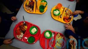 Nutritional value of hot school meals to be reviewed by Government