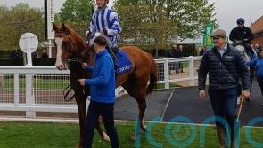 Seagulls Eleven where Palmer wants him for 2000 Guineas bid