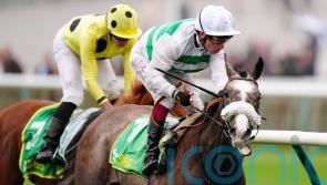 Almeric fends off King Of Cities for Feilden success