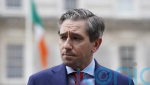 Whistleblower told Harris to &lsquo;shut down&rsquo; Farrelly Commission in 2019