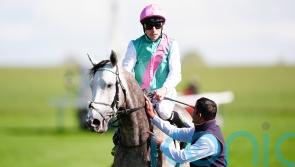 Field of dreams for power-packed Juddmonte operation