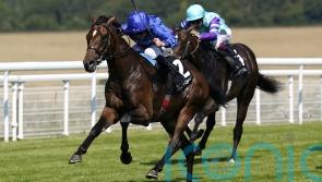 French Guineas the target for Craven runner-up Aomori City