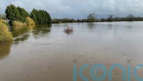 Status orange rain weather warning issued