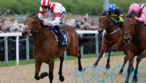 Glittering Legend floors Bowmark in Burradon Stakes