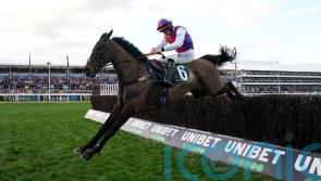 Welsh raider Haiti Couleurs heads Irish National betting
