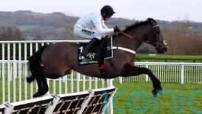 Henderson gives &lsquo;green light&rsquo; for Constitution Hill&rsquo;s Punchestown run
