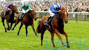 Hills backing Field Of Gold to emulate exploits of Haafhd