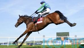 Champ Kiely tops Ballyburn for Grade One gold