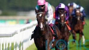 Cosmic performance eagerly awaited in red-hot Newmarket feature