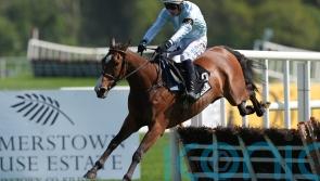 Jade De Grugy too good for Brighterdaysahead at Punchestown