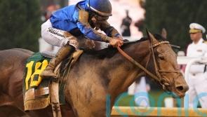 Connections confirm Sovereignty will not take part in Preakness Stakes