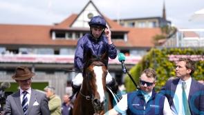 Mount Kilimanjaro erupts late on to land Dee Stakes success