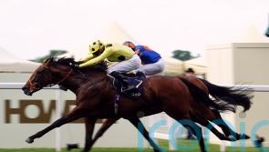 Rosallion poised for Lockinge return at Newbury