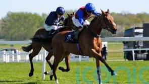 Serenity Prayer out to ascend to greater heights in Musidora bid