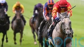 Tattersalls Gold Cup on the agenda again for White Birch