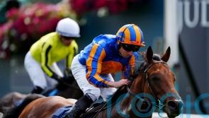 Lion ready to test Derby credentials in Dante outing