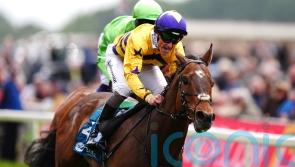 Temple target awaits York hero American Affair