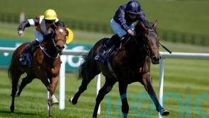 Charles Darwin continues promising evolution with Naas strike