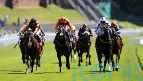 All eyes on Ali Shuffle in smart renewal of Hilary Needler