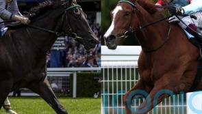 Sangster sets sights on taking top billing at the Curragh