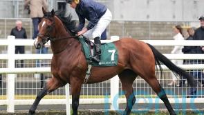 O&rsquo;Brien keeping the faith with Storm Boy