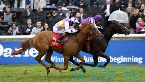 Stanhope Gardens on course for Derby assignment