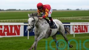 Prince of Wales&rsquo;s Stakes an option for White Birch