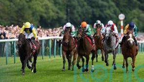 Balmoral Lady takes Haydock step up in class in her stride