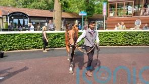 More to come from Haydock Eyecatcher Volterra