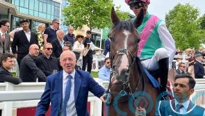 Future is bright for Detain after brave French Derby run