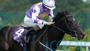 Next stop the Curragh for Green Impact after Listed strike