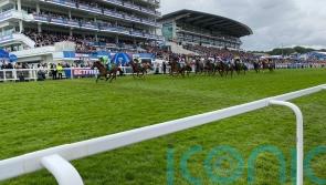 Jm Jungle gains &lsquo;deserved&rsquo; sprint prize for John and Sean Quinn