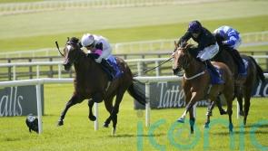 Donnacha O&rsquo;Brien hoping Porta Fortuna will be back for the autumn