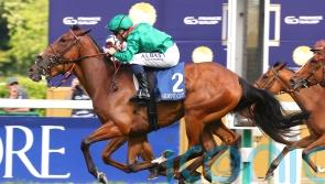 Zarigana team content with Coronation choice