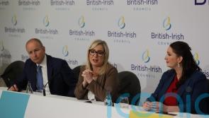 Leaders share healthcare and efficiency hopes for AI at British-Irish Council