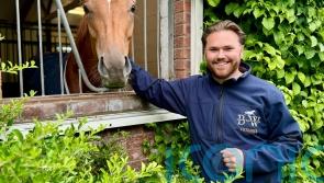 Fellowes hoping for Perfect outcome in France