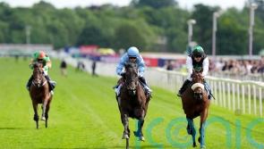 York Eyecatcher Rikki Tiki Tavi promises plenty