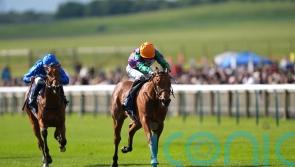 Bell backing Spicy Marg to pack Ascot punch