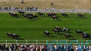 My Cloud overshadows the rest in Royal Hunt Cup