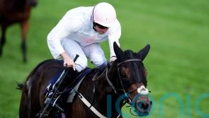 Ethical Diamond sparkles for Willie Mullins