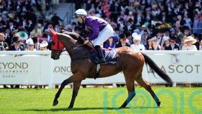 Clover still on cloud nine following Royal effort of Flowerhead