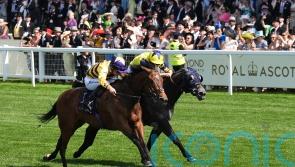 Goldie cool on idea of Goodwood for American Affair