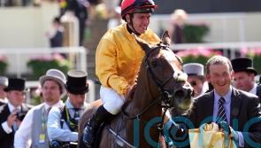 Irish Oaks bid on the cards for surprise Coronation winner Cercene