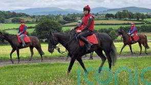 Harrington hoping for maximum Impact in Irish Derby