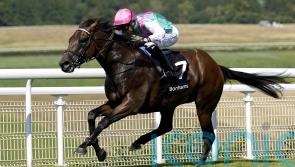 Juddmonte juggling pack with leading milers