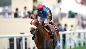 Temperature rising for Humidity at Goodwood